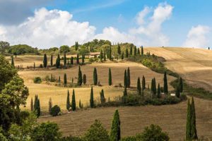 group_holyday_tuscany4