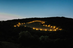 group_holyday_tuscany5