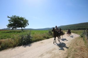 horseriding_holyday_tuscany1